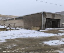 masazirda heyet evlerinin satisi/villa Masazır, Abşeron r.