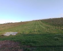 Satılır Torpaq Quba ş.