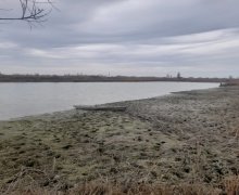 elanlari alqi satqisi elanlari Sabirabad ş.