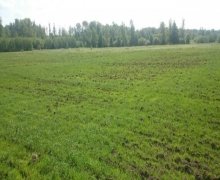 Satılır Torpaq Qusar ş.