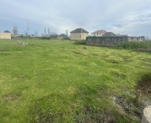 Продажа Участок Ленкорань г.