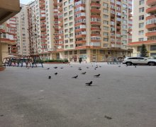 kiraye aylıq ev elanlari Nizami r.