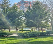 genclikde evlerin qiymeti Gənclik m., Nəsimi r.