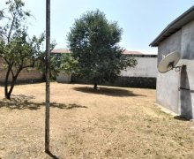 Satılır Torpaq Qəbələ ş.