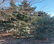 xezer rayonunda aylıq kiraye ev Zaqulba, Xəzər r.