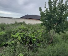 buzovnada torpaq satilir Buzovna, Xəzər r.