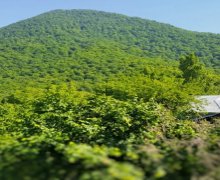 Kirayə (günlük) Həyət evi/villa Qəbələ ş.