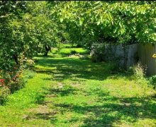 Kirayə (günlük) Həyət evi/villa Qax ş. Kirayə (günlük) Həyət evi/villa Qax ş.