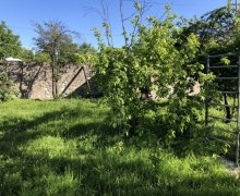 kreditle torpaq alqi satqis İsmayıllı ş.