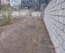 elanlari alqi satqisi elanlari Nizami r.