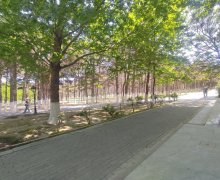 Kirayə (aylıq) Obyekt Xırdalan ş.