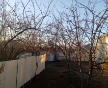 ismayillida torpaq alqi satqisi İsmayıllı ş.