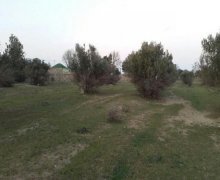 buzovnada torpaq satilir Buzovna, Xəzər r.