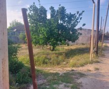 elanlari alqi satqisi elanlari Bülbülə qəs., Suraxanı r.