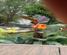 Satılır Bağ evi Mərdəkan, Xəzər r.