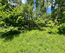 ismayillida torpaq alqi satqisi İsmayıllı ş.