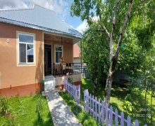 Kirayə (günlük) Həyət evi/villa Qəbələ ş.