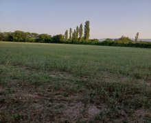 Продажа Участок Шеки г.