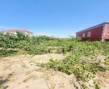 Продажа Участок Сарай, Абшерон р. Продажа Участок Сарай, Абшерон р.