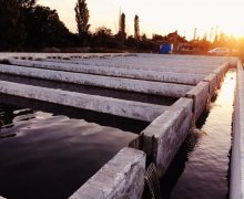 Kirayə (aylıq) Torpaq Xaçmaz / Xudat ş.