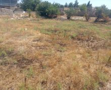 Satılır Torpaq Türkan, Xəzər r.