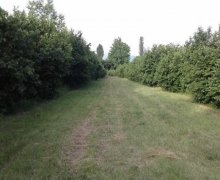 Satılır Torpaq Zaqatala ş.