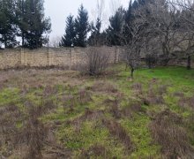 Satılır Torpaq Novxanı, Abşeron r.