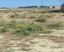 rayonlarda torpaq alqi satqisi Məhəmmədli, Abşeron r.