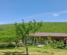 Kirayə (günlük) Həyət evi/villa Qax ş. Kirayə (günlük) Həyət evi/villa Qax ş.
