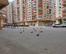 Satılır Yeni Tikili Neftçilər m., Nizami r.