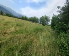 Satılır Torpaq Zaqatala ş.