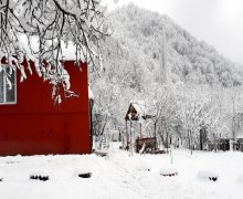 Kirayə (günlük) Həyət evi/villa Qəbələ ş.