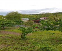 Satılır Torpaq Qəbələ ş.