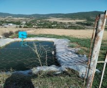 ismayillida torpaq alqi satqisi İsmayıllı ş.