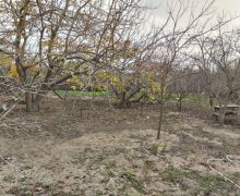 novxanida torpaq satilir Novxanı, Abşeron r.