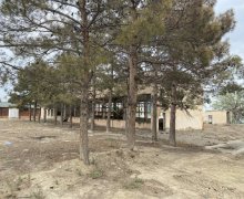 elanlari alqi satqisi elanlari Naftalan ş.