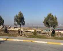 Satılır Torpaq Masazır, Abşeron r.