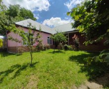 Kirayə (günlük) Həyət evi/villa Qəbələ ş.