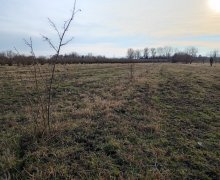 Satılır Torpaq Zaqatala ş.