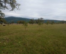 Satılır Torpaq Qəbələ ş.