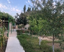 Kirayə (aylıq) Bağ evi Buzovna, Xəzər r. Kirayə (aylıq) Bağ evi Buzovna, Xəzər r.