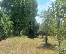 Satılır Torpaq Qəbələ ş.