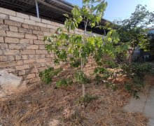 Satılır Həyət evi/villa Avtovağzal m., Biləcəri qəs., Binəqədi r.