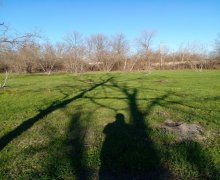 Satılır Torpaq Qəbələ ş.