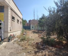 sarayda torpaq satilir Saray, Abşeron r.