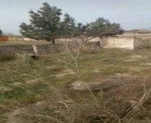 rayonlarda torpaq alqi satqisi Fatmayi, Abşeron r.