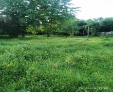 qebelede torpaq alqi satqisi Qəbələ ş.