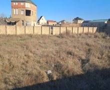 Продажа Участок пос. Курдаханы, Сабунчу р.