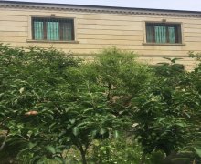 badamdar ev alqi satqisi/villa Badamdar qəs., Səbail r. badamdar ev alqi satqisi/villa Badamdar qəs., Səbail r.