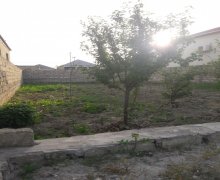 rayonlarda torpaq alqi satqisi Məhəmmədli, Abşeron r.